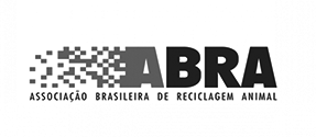 traductor español portugues brasil